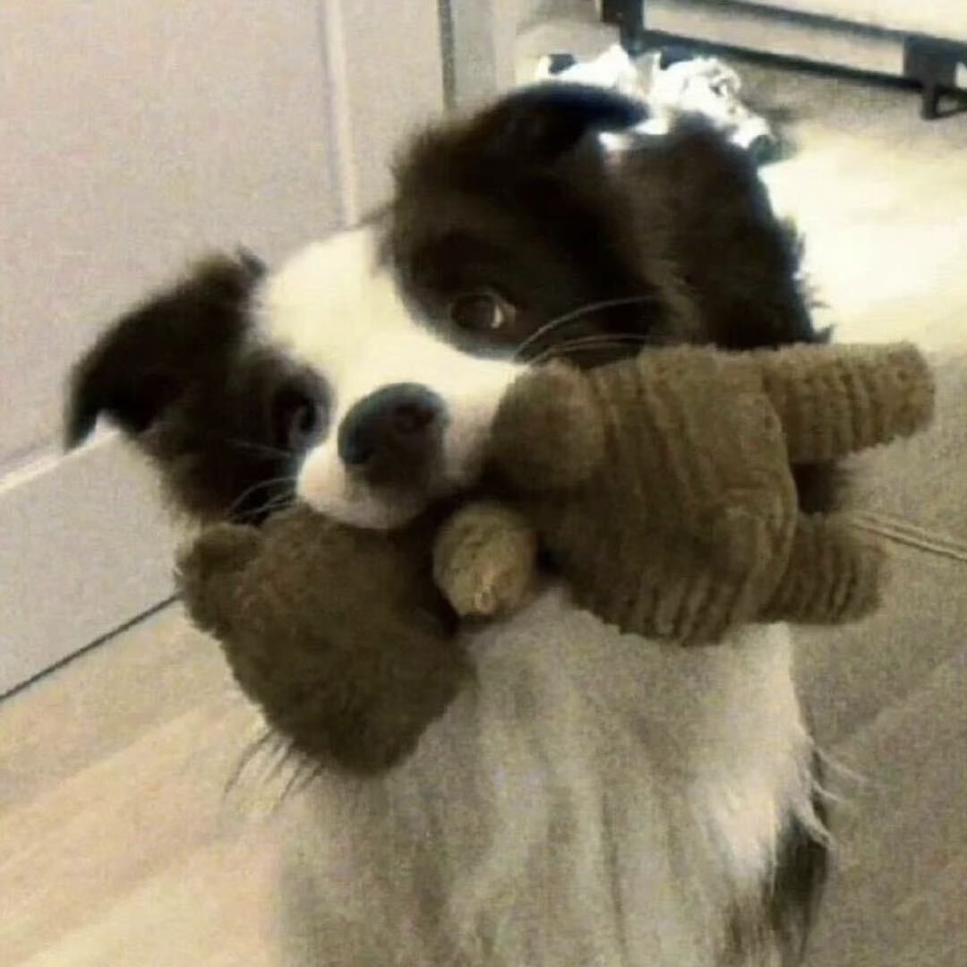 项目团队成员头像,年轻女性,穿白色衬衫,黑色短发,正面微笑,明亮自然光,简约背景